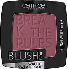 Румяна для лица «Blush Box» 050