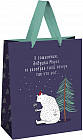 Пакет подарочный «Новогоднее недопонимание»