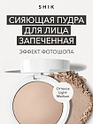 Пудра для лица запеченная сияющая «Glow Perfect Powder», оттенок Light Medium
