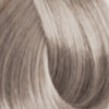 10.021 Платиновый блондин жемчужно-пепельный