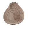 9.01 Очень светлый блондин натуральный пепельный