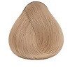 9.3 Очень светлый блондин золотистый