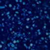 043 Синий с глиттером