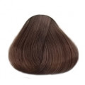 6.8 Темный блондин коричневый