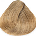 9.3 Очень светлый блонд золотистый