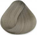 10.102 Платиновый блонд пепельный жемчужный