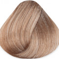 10.1 Платиновый блонд пепельный