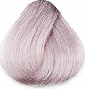 10.21 Платиновый блонд фиолетовый пепельный