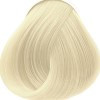 12.1 Экстрасветлый-платиновый блондин