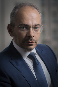 Н. Николаев