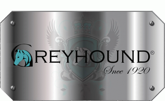 Greyhound