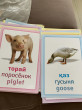 Отзыв на Үй жануарлары және олардын төлдері. Домашние животные и их детеныши. Domestik animals and their cubs. Дидактические карточки от Сания Алтаевна