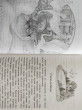 Отзыв на Русские народные сказки. Полная библиотека внеклассного чтения. Начальная школа 1-4 класс от Акатаевна
