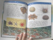 Отзыв на Подводный мир. Энциклопедия для детского сада от Назира