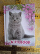 Отзыв на Блокнот «Котята» от Юлия