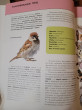 Отзыв на Птицы. Полная энциклопедия от Ната
