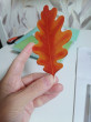 Отзыв на Фигурка вырубная «Листочки. Дуб оранжевый» от Айгуль Жангасинова