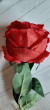 Отзыв на Цветок искусственный «Роза Охара» от Татьяна