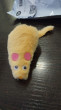 Отзыв на Игрушка для кошек «Мышка» от виктория