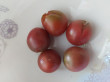 Отзыв на Томат «Черри-Шоколадный десерт» от Олеся Алексеевна