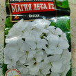 Отзыв на Семена. Пеларгония «Магия лета F2», белая от Алиса