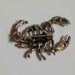 Отзыв на Брошь «Скорпион» от Елена Владимировна