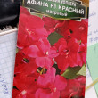 Отзыв на Семена. Бальзамин «Афина F1», красный, махровый, 5 шт от Людмила Егоровна