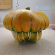 Отзыв на Семена. Тыква декоративная «Красная шапочка», 3 шт от Наталья