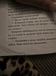 Отзыв на Итальянские сказки от Арзу