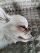 Отзыв на Средство по уходу за глазами «No more tears» от Наталья