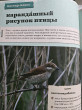 Отзыв на Счастье творчества. Книга о романтике загородной жизни, рукодельных вечерах и единении с природой от Марианна