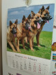 Отзыв на Календарь 2018 «Собаки» (перекидной, А3) от Газиз