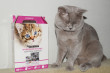 Отзыв на Корм для котят с курицей от tratata2982