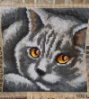 Отзыв на Подушка для вышивания "Кот" от Евгения Васильевна
