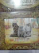 Отзыв на Фоторамка-магнит «I love Persian Cats», серия «Персидская кошка» от Марина Владимировна