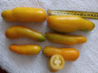 Отзыв на Семена. Томат «Банан оранжевый» от Анна Викторовна