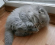 Айнур