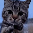 Евгений