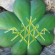 Alina