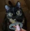Катерина