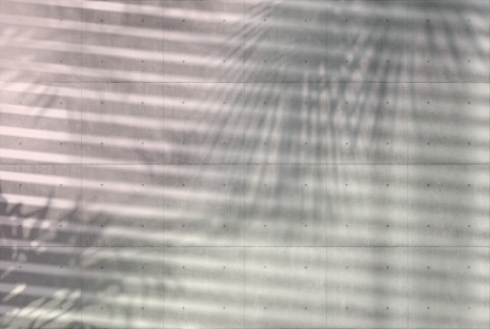 Фотообои «Shadows» (368 х 248 см)