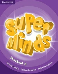 Super Minds Level 6. Workbook