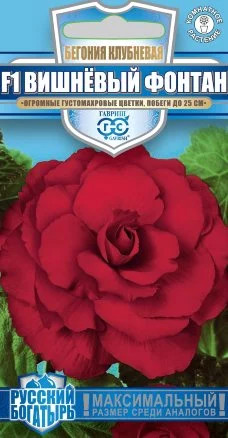 Семена. Бегония «Вишневый фонтан F1», 4 шт | Русский богатырь | Гавриш