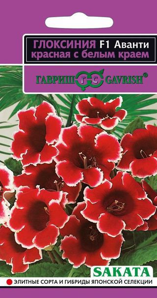 Семена. Глоксиния «Аванти красная с белым краем F1», 5 шт | Эксклюзив | Гавриш