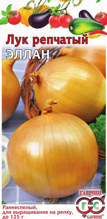 Семена. Лук репчатый «Эллан», подзимний посев | Ягодная полянка | Гавриш