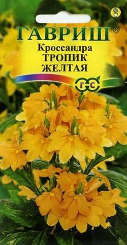 Семена. Кроссандра «Тропик желтая», 3 шт | Элитная клумба | Гавриш