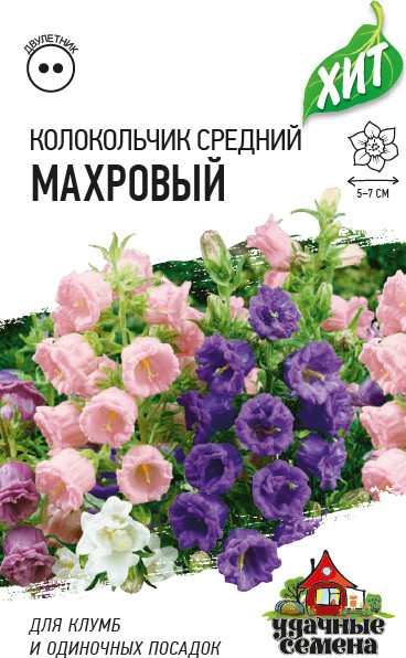 Семена. Колокольчик средний «Махровый», 0,05 г | Удачные семена. Хит 3 | Гавриш