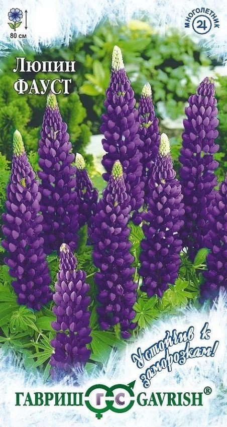 Семена. Люпин многолистный «Фауст», 0,5 г | Многолетние цветы (Гавриш) | Гавриш