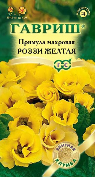 Семена. Примула «Роззи желтая», 3 шт | Многолетние цветы (Гавриш) | Гавриш