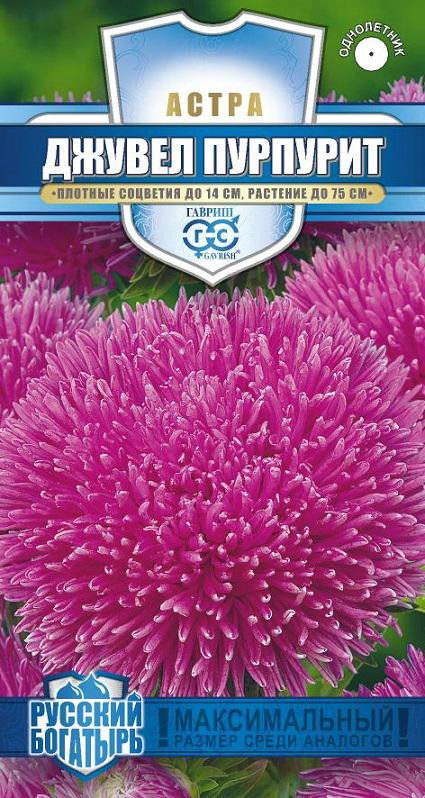 Семена. Астра «Джувел Пурпурит» игольчато-коготковая, 0,1 г | Русский богатырь | Гавриш